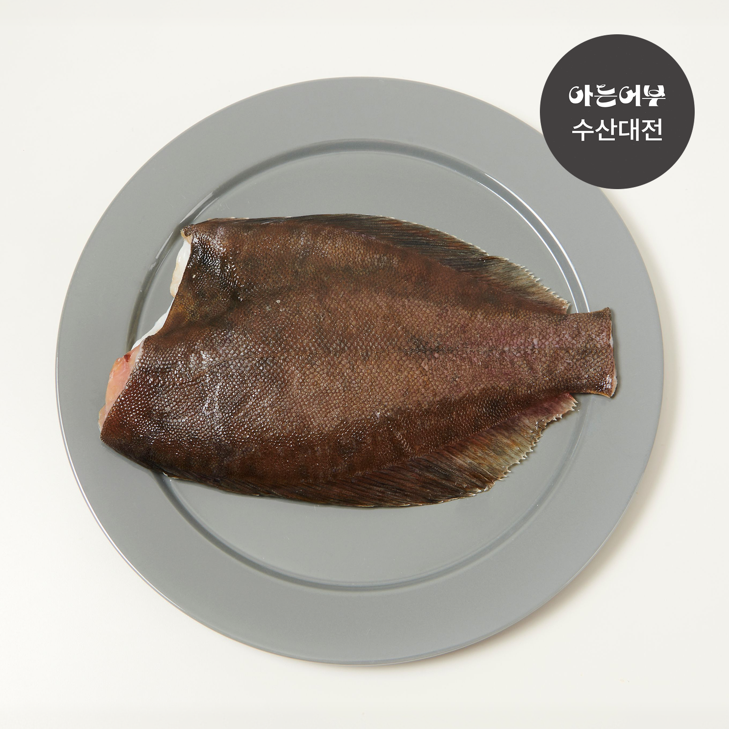 통영 손질 가자미 문치가자미 500g 900g 구이 조림 도다리 쑥국 - 상품 이미지