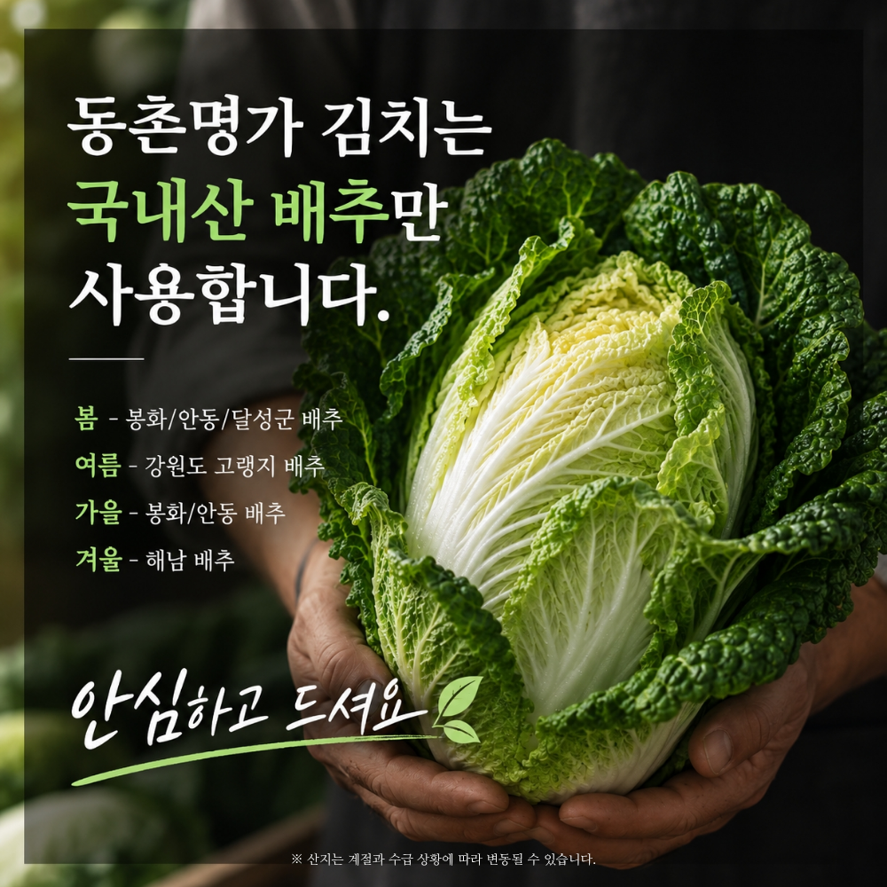 동촌명가 맛있는김치 일반 포기김치 3kg, 5kg, 10kg - 상세 이미지 2