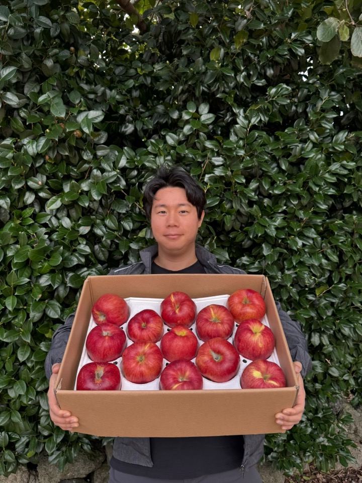 유통하맨x파머들 홍로 꿀사과 경북 감홍 선물세트 5kg - 상품 이미지