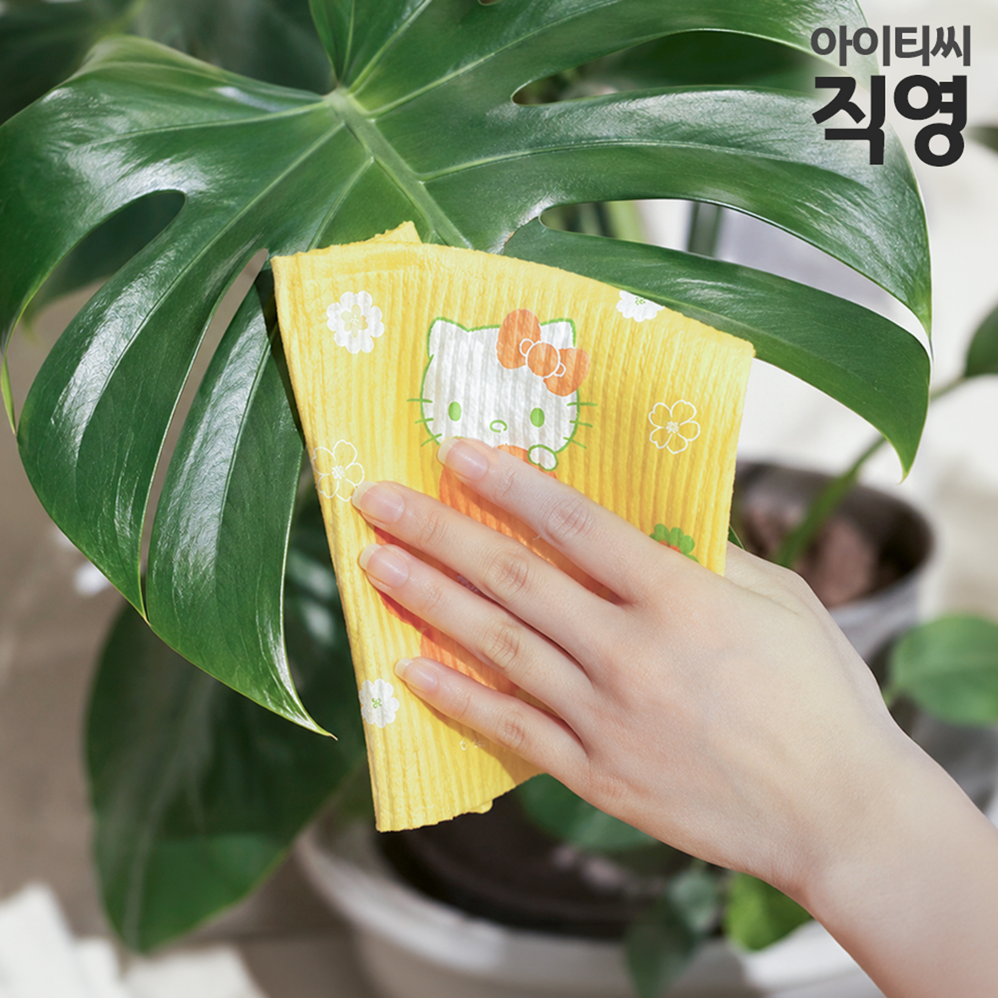 산리오캐릭터즈 셀롤로오스 다용도 만능 빨아쓰는 행주 스웨덴 스웨디시 행주(3개입)X1세트 빠른건조 주방용 다회사용 - 상세 이미지 5