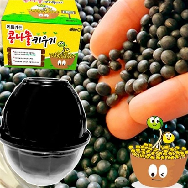 초보자용 콩나물 키우기 재배 가정용 콩나물 기르기 시루 실내 - 상세 이미지 2