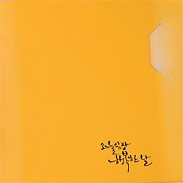 다용도 a4 파일 홀더 플라스틱 도큐먼트 서류철 사무실 개인 - 상품 이미지