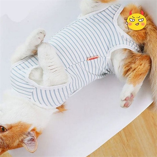 반려동물 강아지 수술복 중성화 고양이 수술복 병원복 회복복 - 상세 이미지 2
