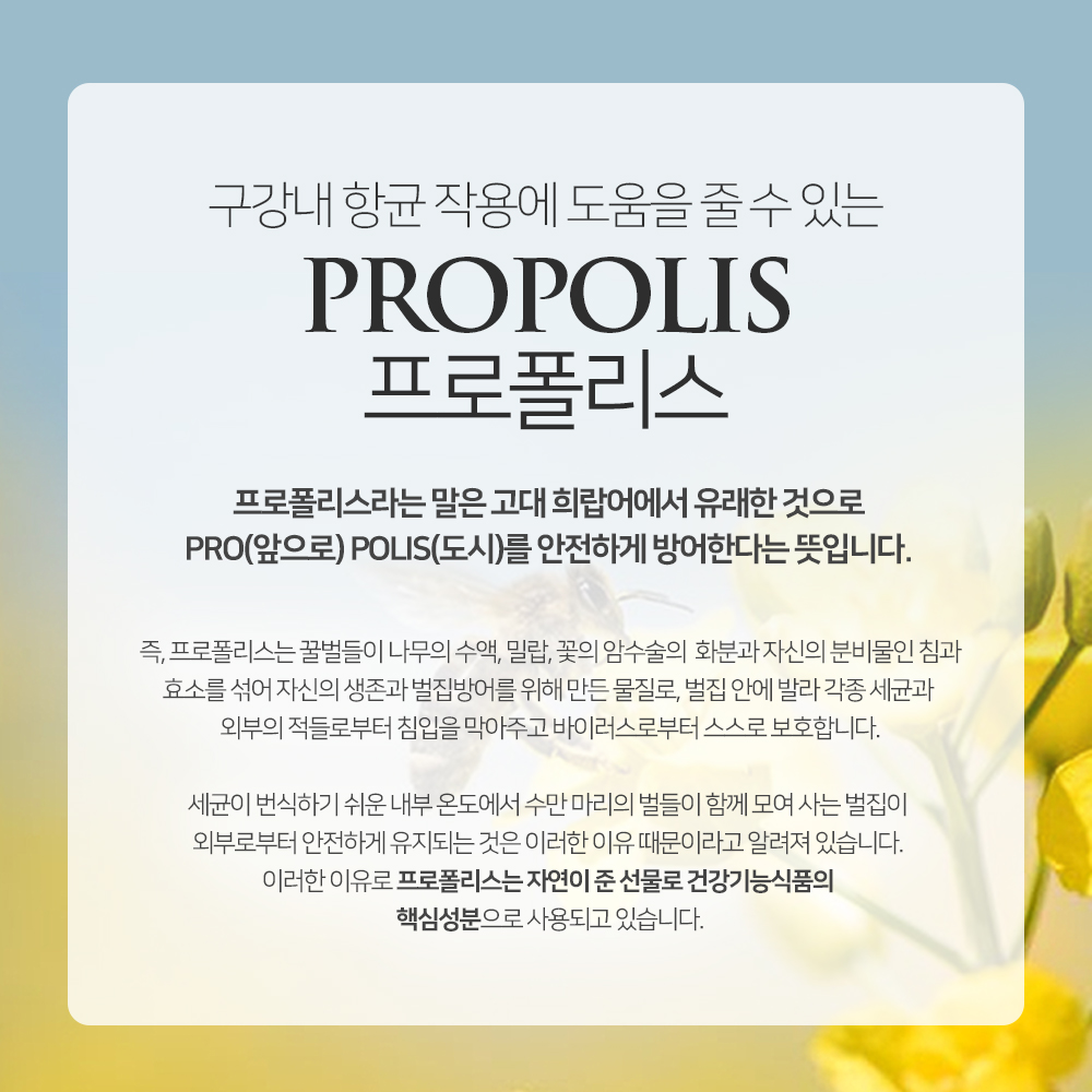 굿윌 프리미엄 호주 프로폴리스 스프레이 30ml 목 구강 항균 플라보노이드 이미지 7
