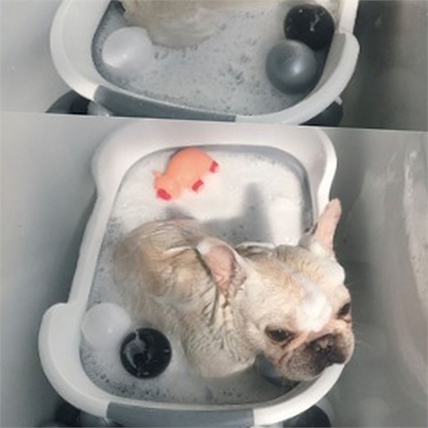 고양이 반려동물 접이식 욕조 휴대용 강아지 접이식 욕조 반려견 목욕통 - 상품 이미지