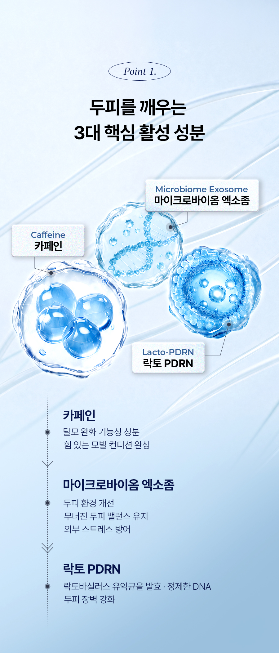 EPAIS Caffeine Morning Water Shampoo - description 14