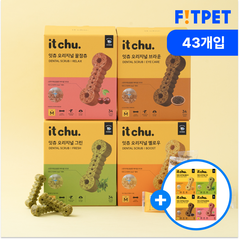 강아지 양치껌 잇츄 오리지널 43P 덴탈껌 치석제거 핏펫 개껌 - 상품 이미지
