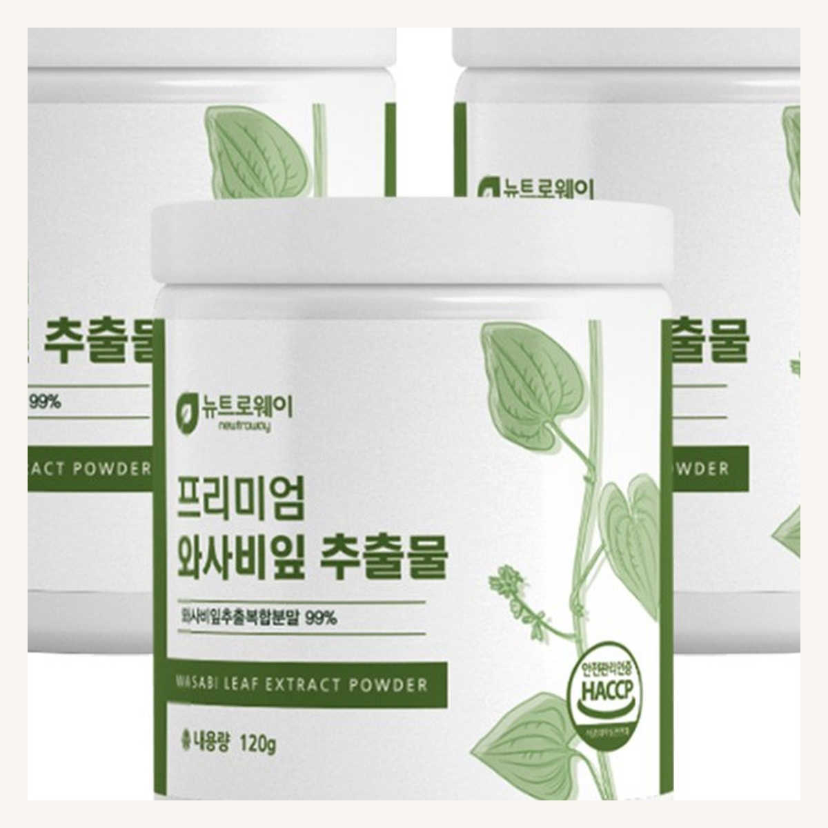 뉴트로웨이 프리미엄 와사비잎 추출물 분말 120g 3병 - 상세 이미지 4