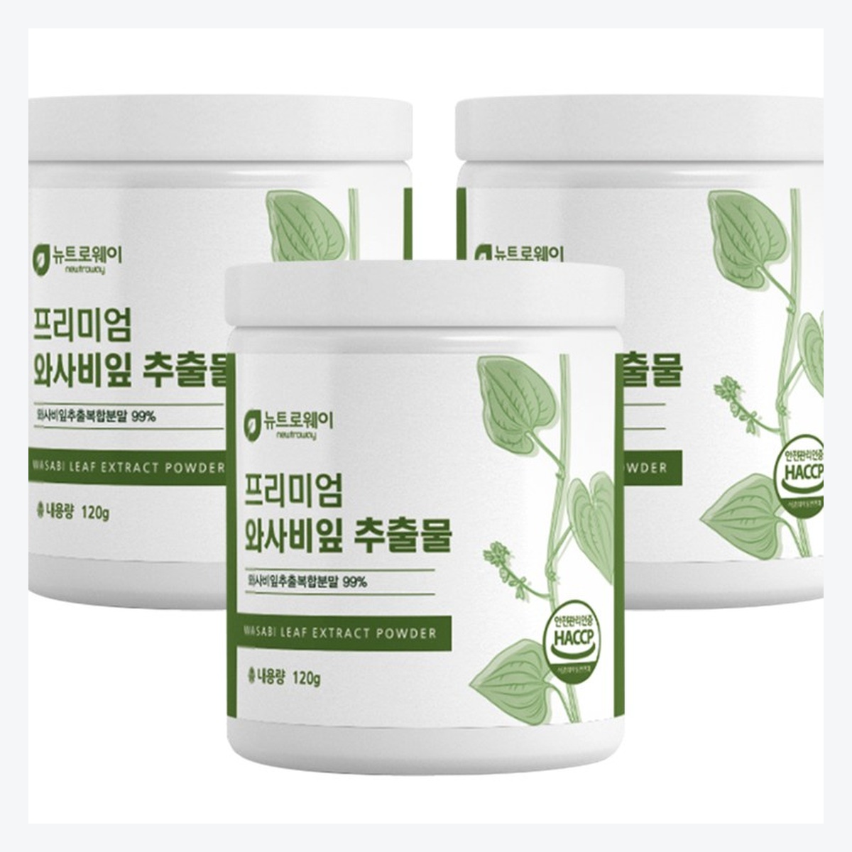 뉴트로웨이 프리미엄 와사비잎 추출물 분말 120g 3병 - 상세 이미지 3