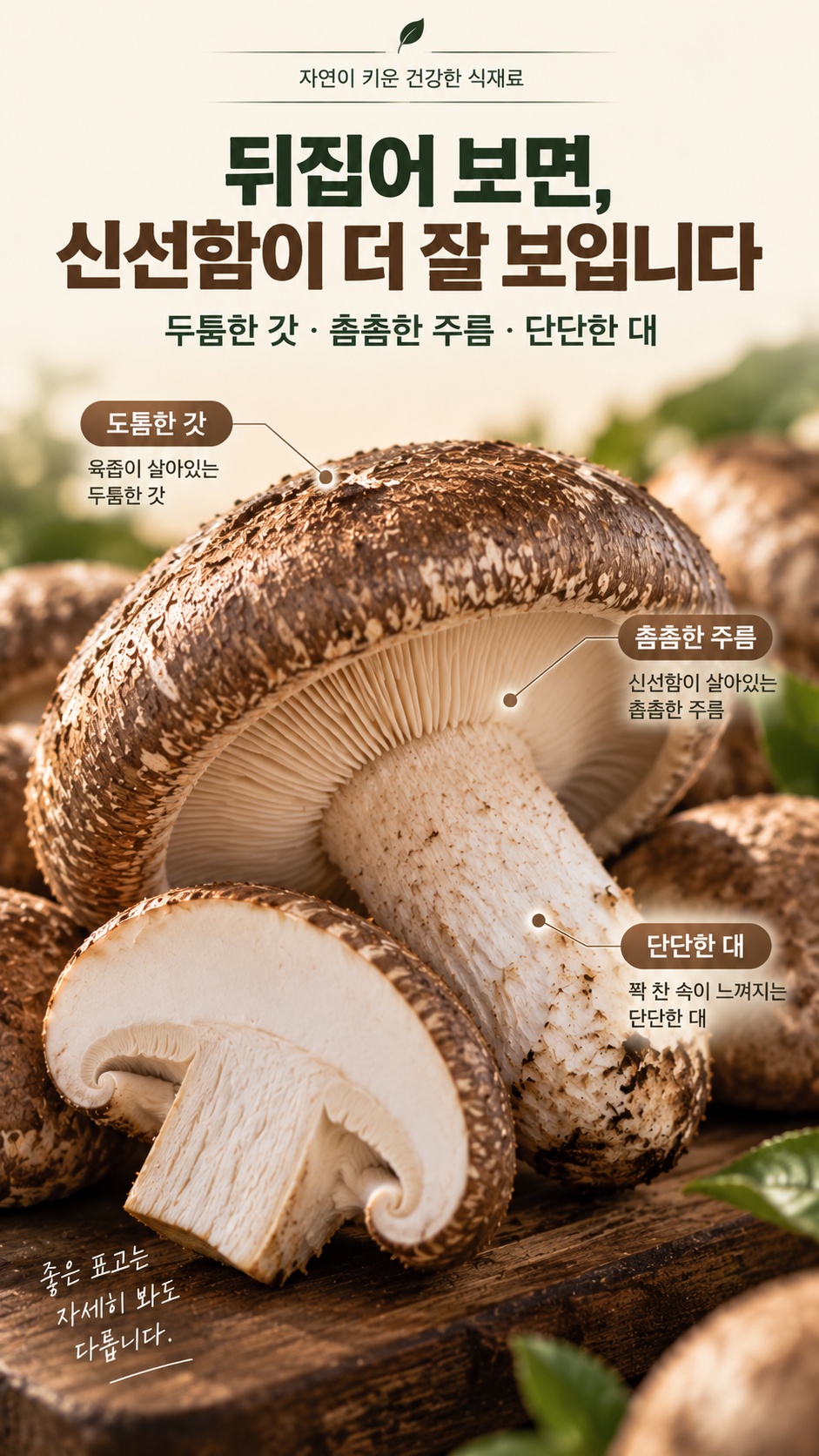 생표고버섯 올바른 손질 및 세척 팁