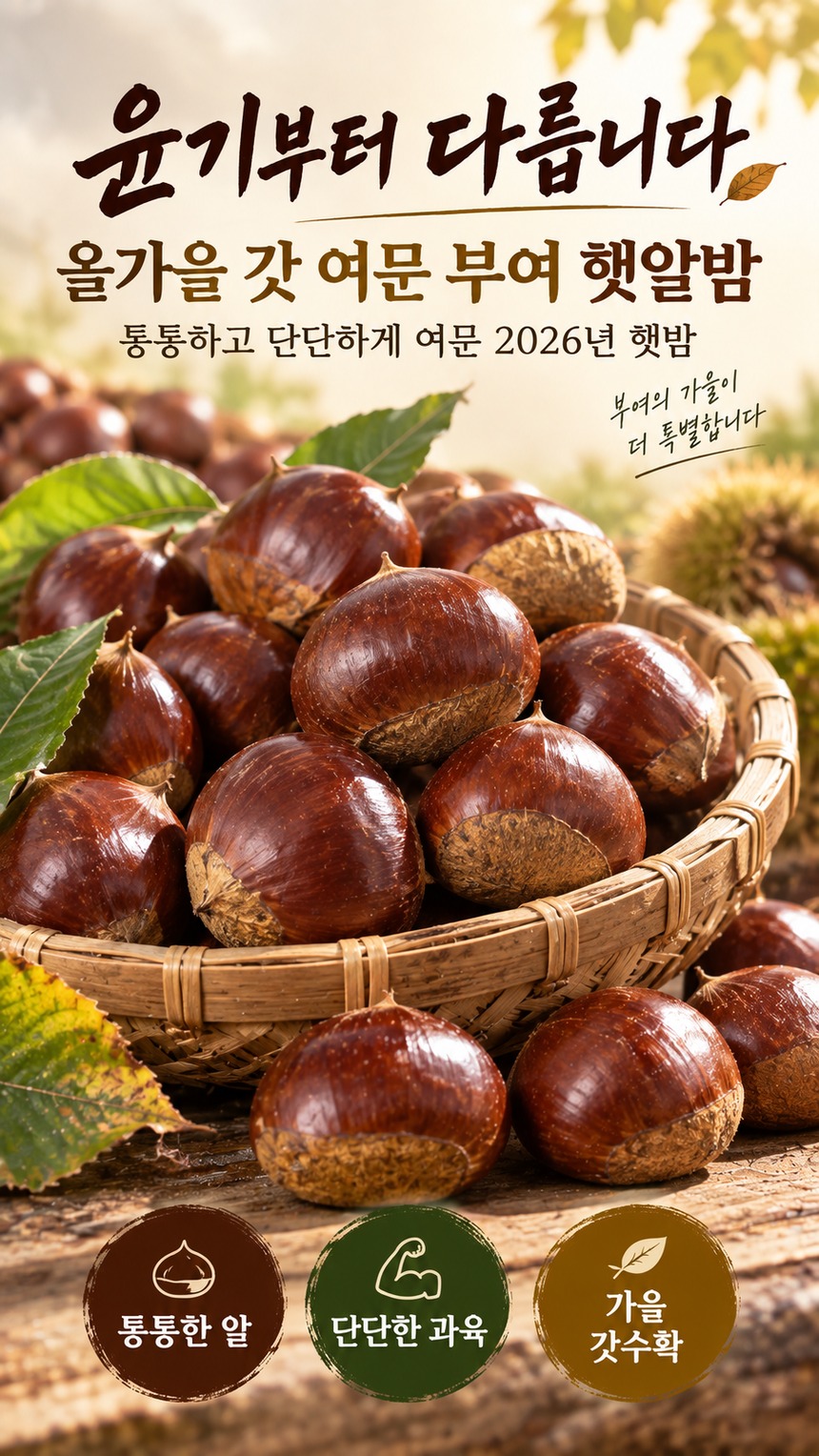 충남 부여 산지직송 선별 가이드