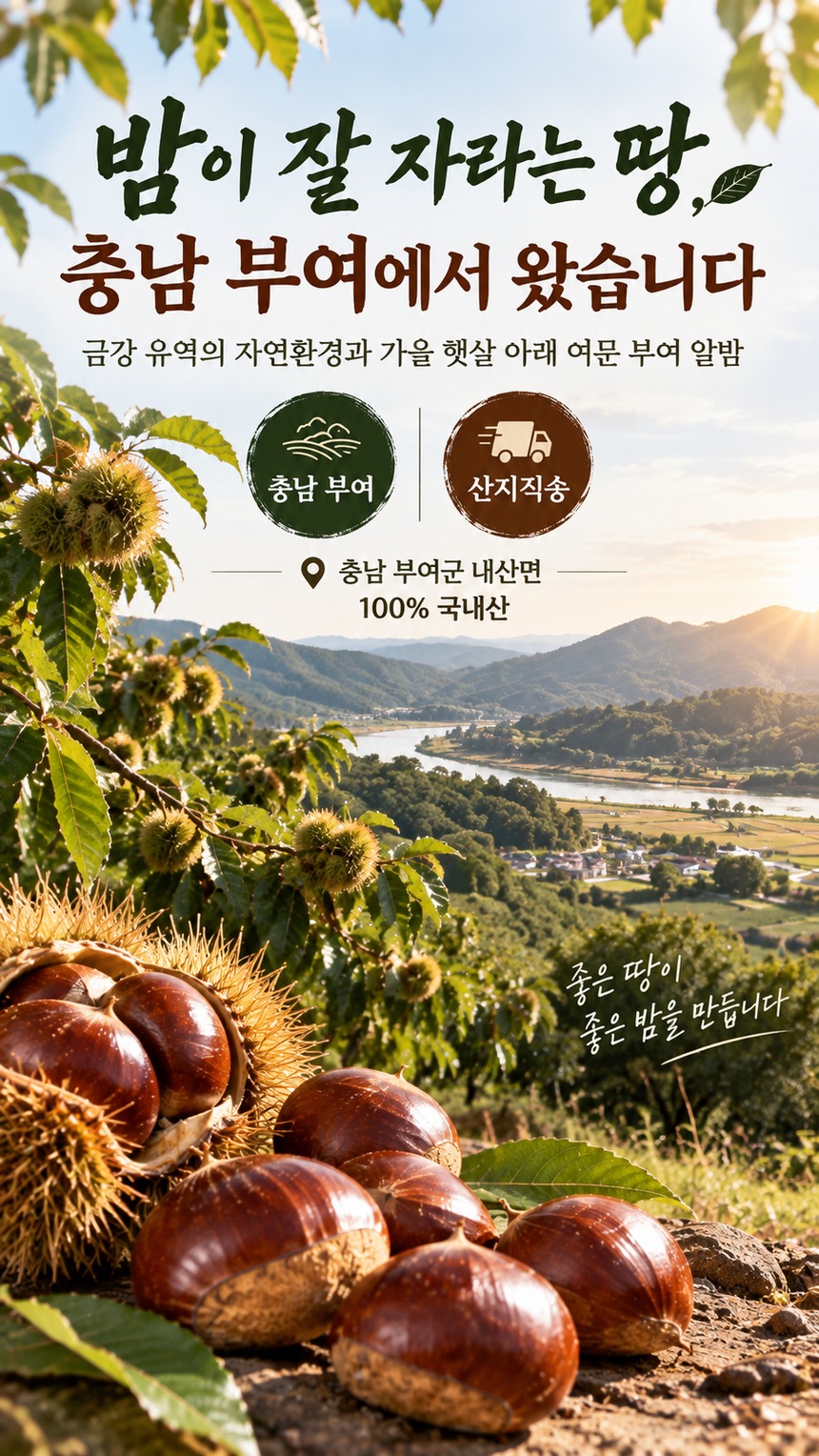 햇알밤 세척 및 전처리 가이드