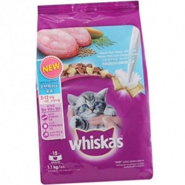 어린 고양이 건식 사료 1.1kg 키튼 고양이 사료 건사료 주식 - 상세 이미지 2
