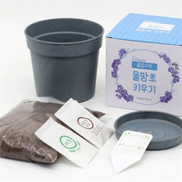 데스크 화분 만들기 실내 diy 화분 소형 키트 - 상세 이미지 2