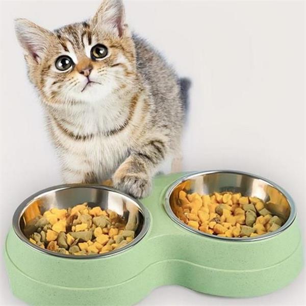 반려동물 강아지 식기 물그릇 고양이 식기 논슬립 밥그릇 식탁 - 상품 이미지