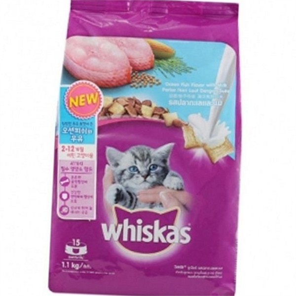 어린 고양이 건식 사료 1.1kg 키튼 고양이 사료 건사료 주식