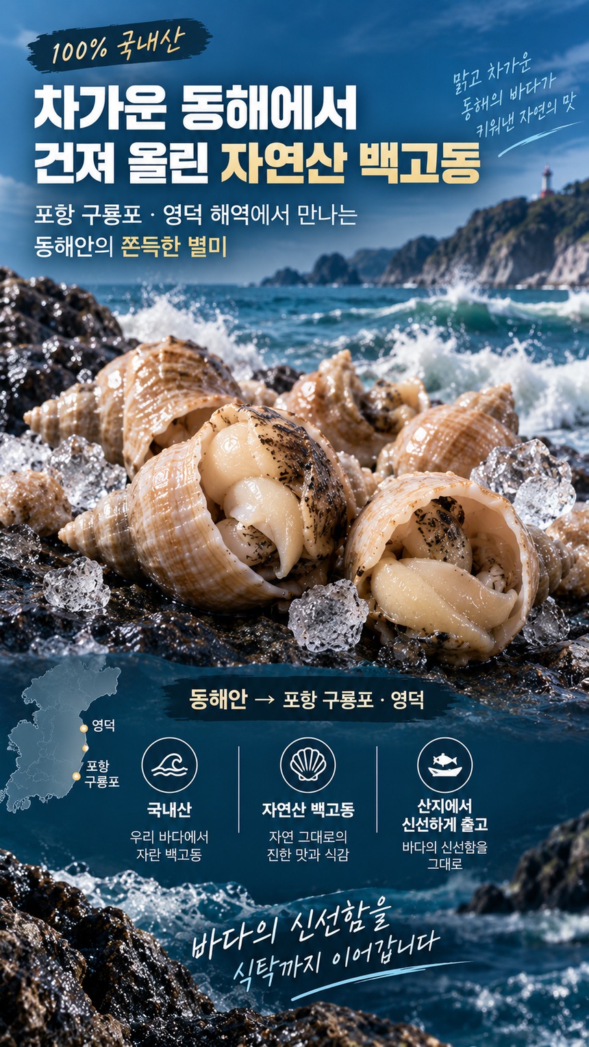 포항 구룡포 영덕 해역 동해안 산지직송