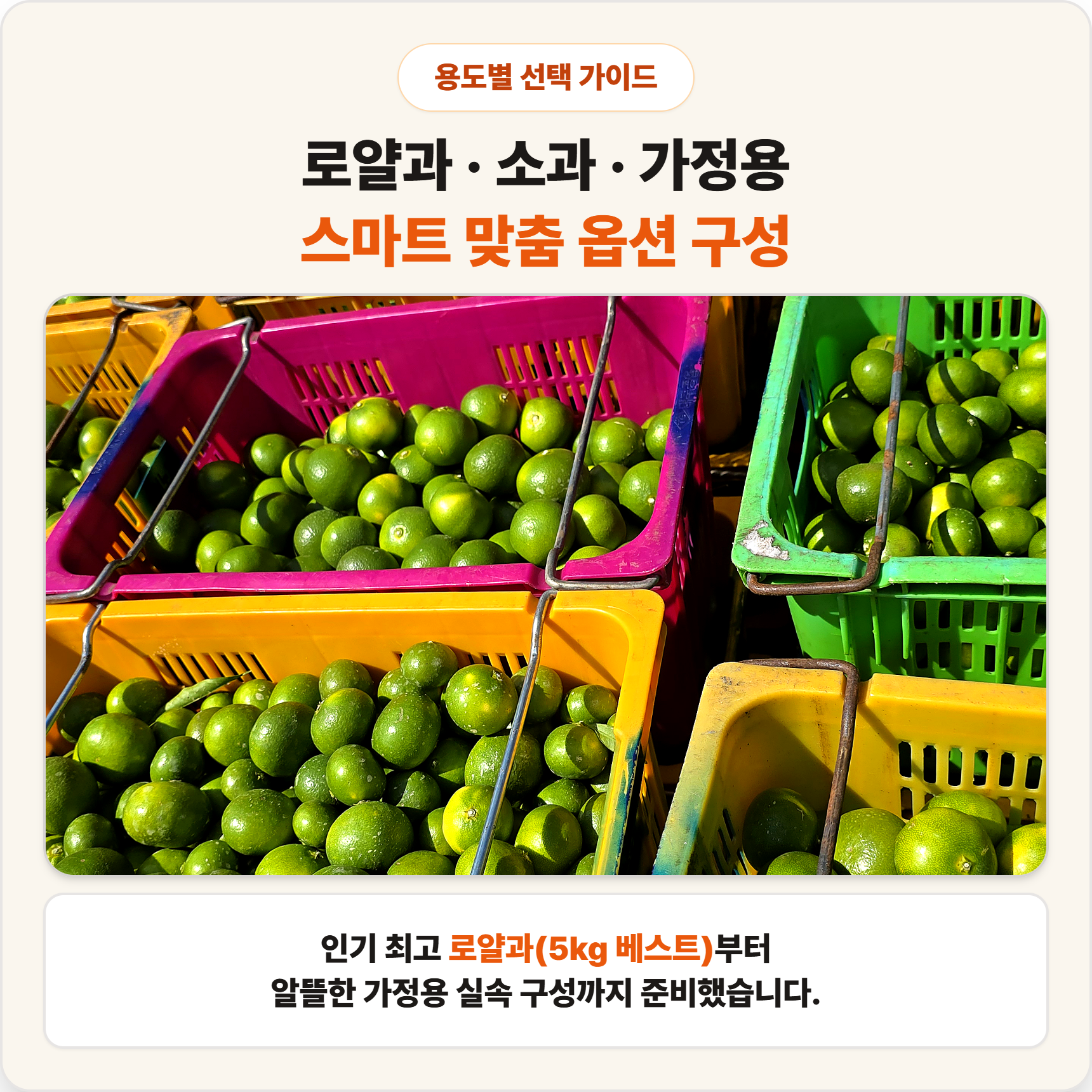 제주 노지 극조생 감귤 조생 햇 귤 가정용 실속형 - 상세 이미지 2