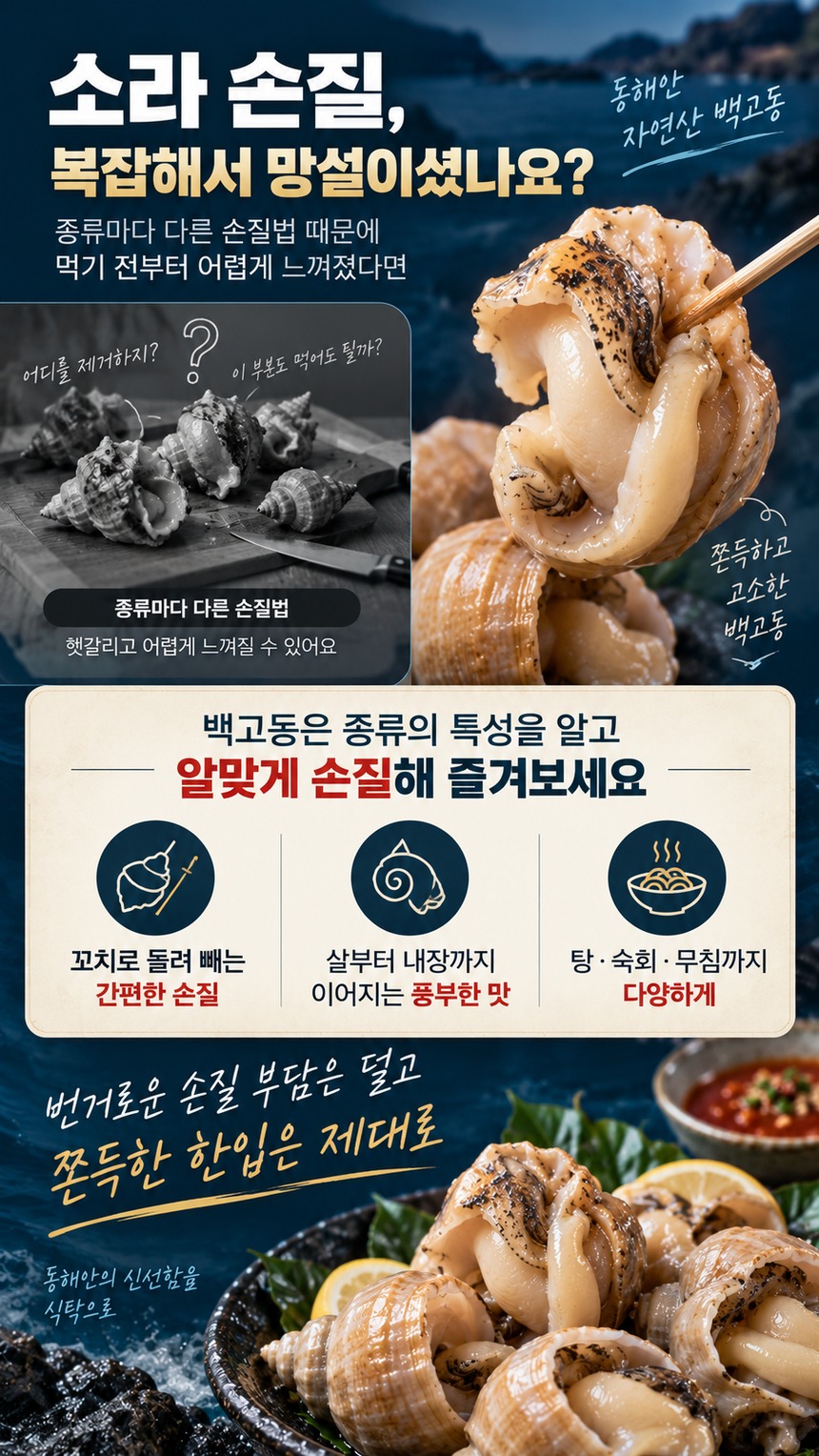 소라 침샘 독소 비교 및 백고동 안전성 안내