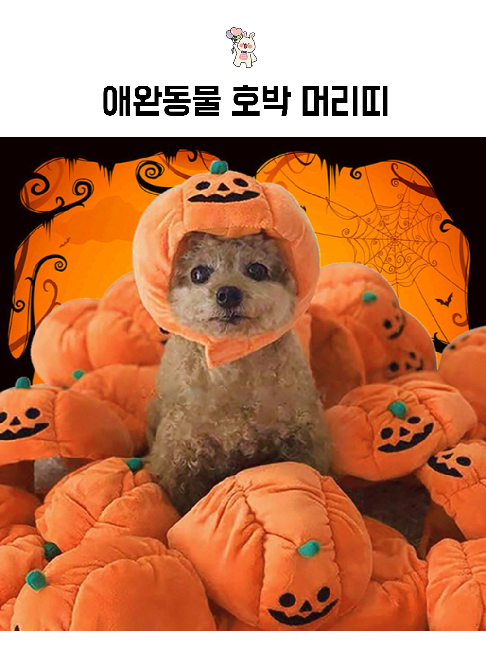 할로윈 강아지 고양이 호박 머리띠 코스튬 상세 이미지 2