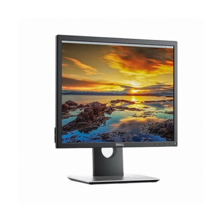 DELL P1917S