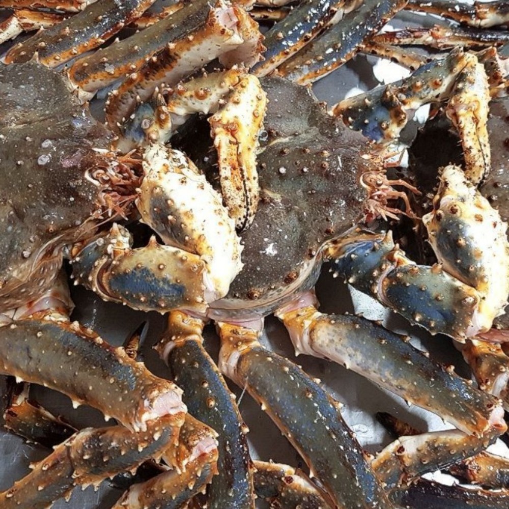 자숙 킹크랩 러시아 레드 제철 왕게 대왕 3kg (자숙전) - 상품 이미지