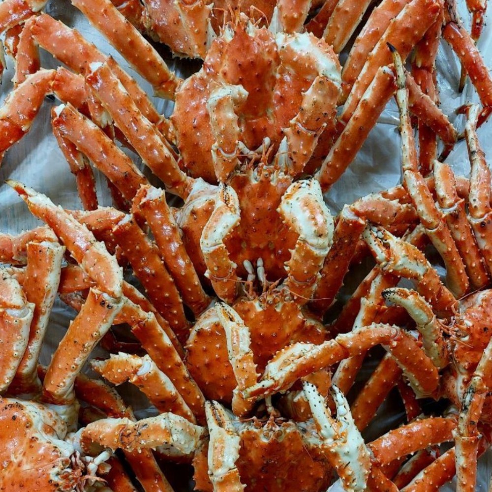 자숙 킹크랩 러시아 레드 제철 왕게 대왕 3kg (자숙전) 이미지 6