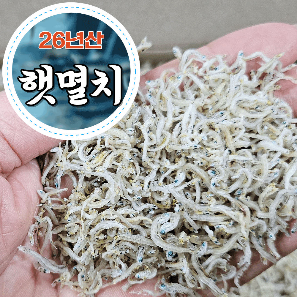 제철에 잡은 맛있는 밥멸치(세세멸치) 1kg 햇지리 햇 볶음용 실치 소멸치 잔멸치 : 마린보이푸드
