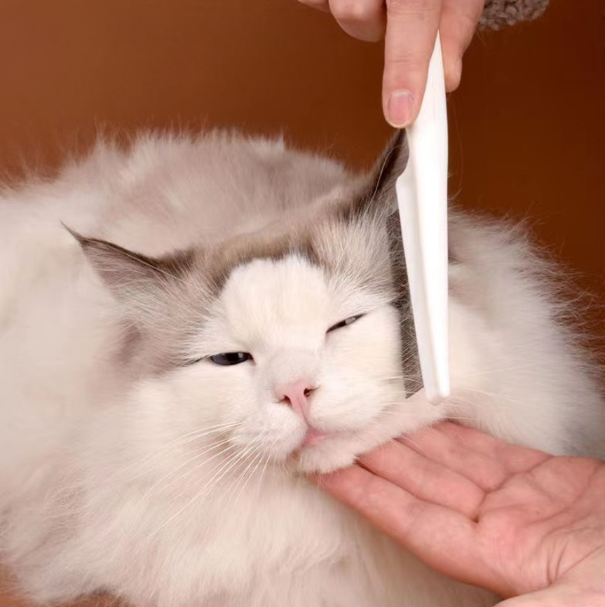 강아지 고양이 얼굴 페이크콤 눈꼽빗 브러시 얼굴 털 정리 엉킴 짧은 빗질 눈물 얼룩 제거 - 상세 이미지 3