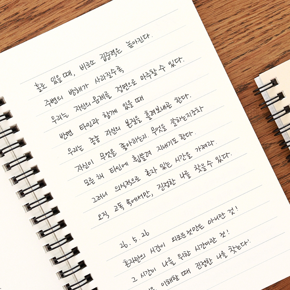 쇼펜하우어 필사 노트 어른 철학 필사책 성인 손글씨 펜 글씨 연습 교정책 악필교정 - 상세 이미지 2