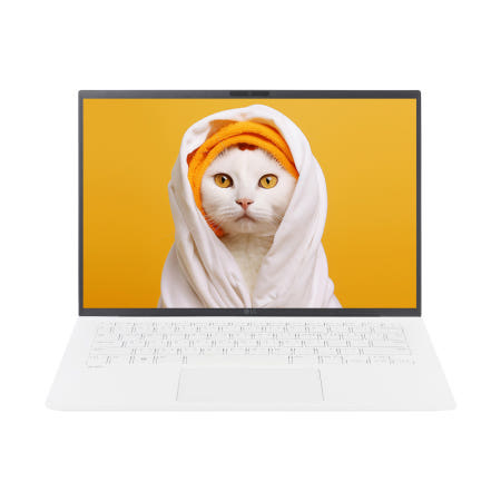 LG전자 LG그램 14ZB90S-GA5WK W11 16GB 512GB