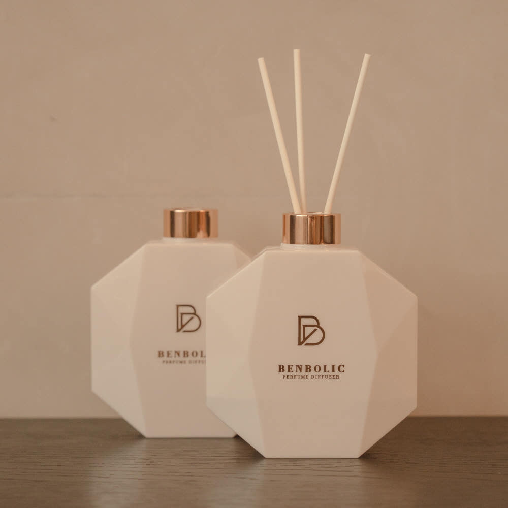 벤볼릭 대용량 디퓨저 500ml 블랙머스크 가격 비교 벤볼릭 벤볼릭 대용량 디퓨저 500ml 블랙머스크