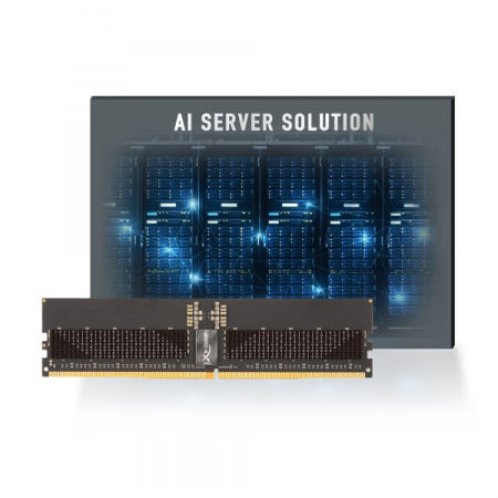 v-color DDR5-5600 CL46 STANDARD ECC/REG 패키지 (128GB(32Gx4))
