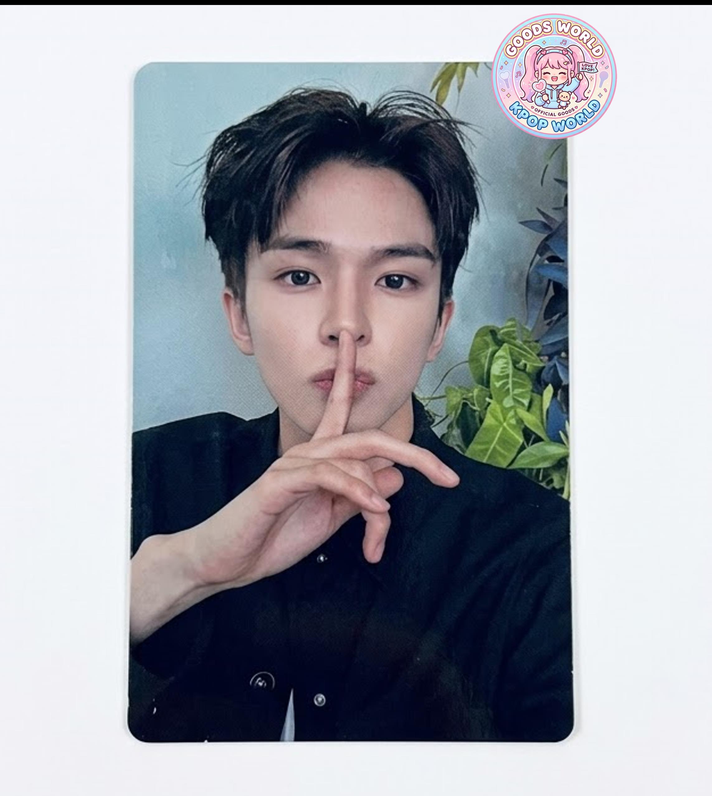 [TREASURE] TREASURE 旭 PLEASURE ウィバース特典 フォトカード ポカ [TREASURE] Asahi Photocard