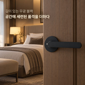 100% 국산 항균 목문레버 도체201 녹 변색에 강한 목문 레버 도어락... 솔직 후기 | 실제 배치 사진 포함 - 상품 이미지 2