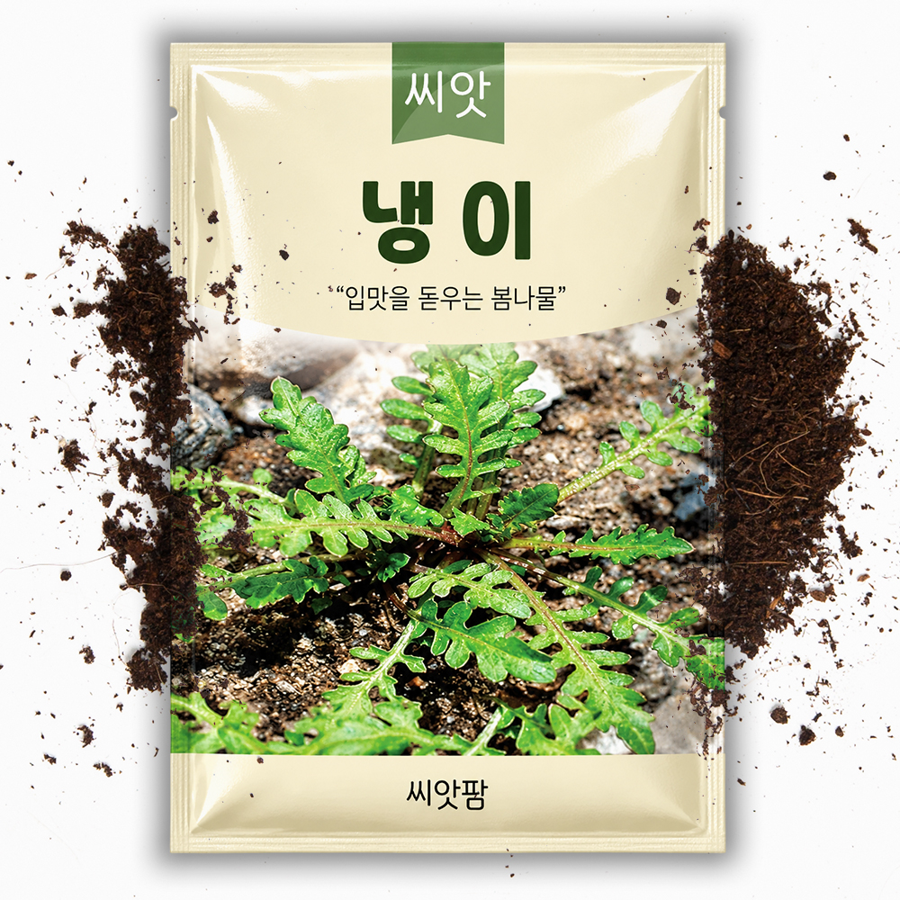 냉이씨앗 5000립 국내채종 냉이씨 봄나물 채소 종자 - 상품 이미지