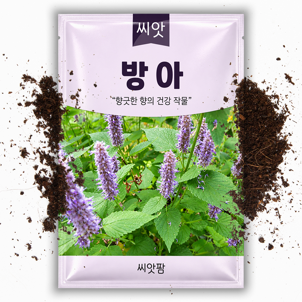 방아 씨앗 1000립 방아씨 종자 - 상품 이미지