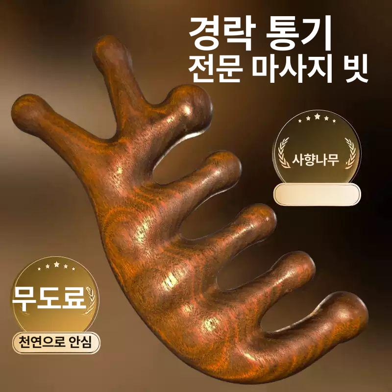 마사지 빗 두피 경락 방지 방지용 오지 - 상품 이미지