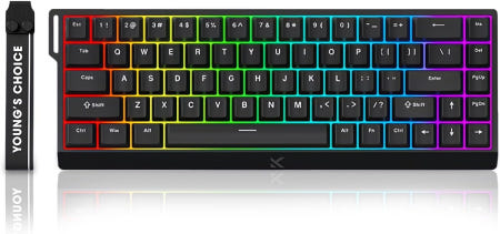 [해외]ZMX MCHOSE ACE 68 마그네틱 스위치 RGB 게이밍 키보드 60 홀 효과 빠른 트리거 조절 가능한 작동 방식 핫스왑 가능 유선 BlackBlue Ice Magne