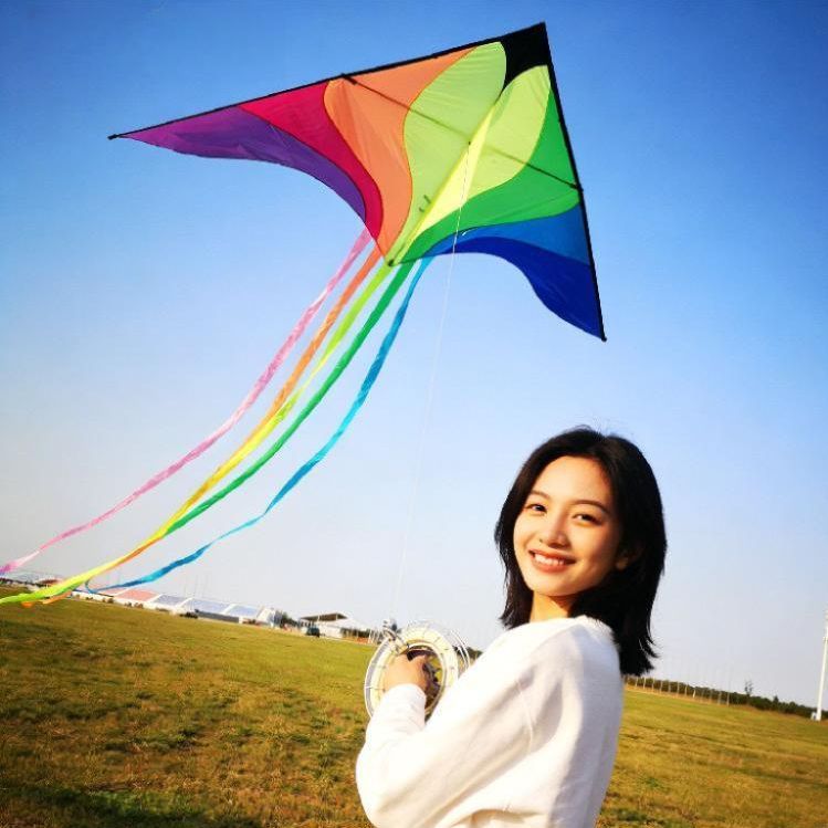 연날리기 가오리 연 나비 야외놀이 한강 성인용 1.5m 단품 - 상품 이미지