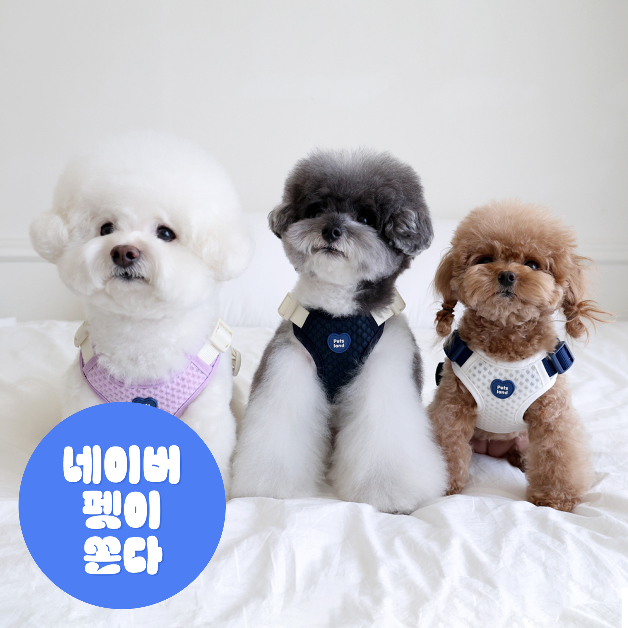 강아지 하네스 가슴줄 X형 애견 반려견 중형견 소형견 에어브레스 HARNESS 단품 S - 상품 이미지