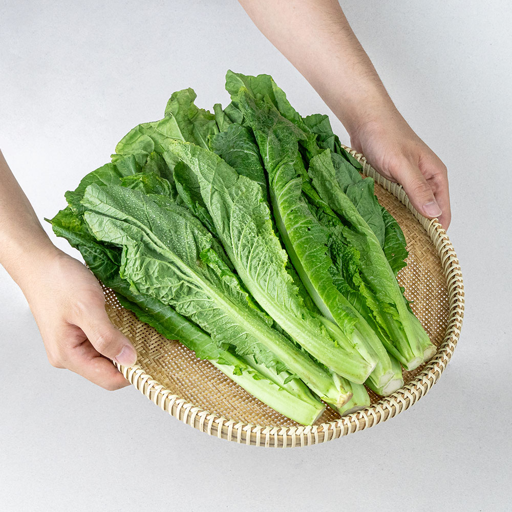 토해원 여수 돌산 생 갓 국내산 산지직송 반찬용 김장용 3kg 5kg 10kg - 상품 이미지