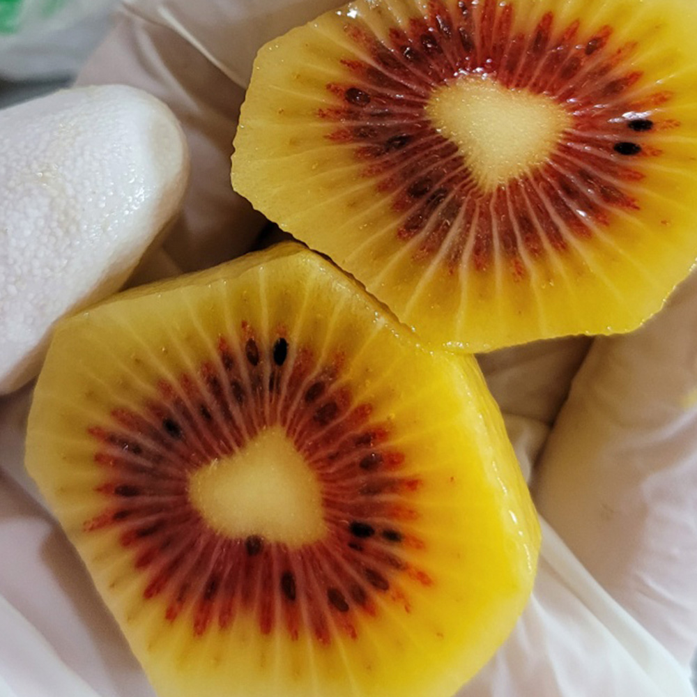 제주 레드키위 달콤한 고당도 키위 산지직송 제철과일 5kg 3kg 이미지 6