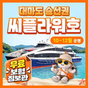 대마도 배편 씨플라워 왕복승선권 예약 대아고속 이즈하라 히타카츠 씨플라워