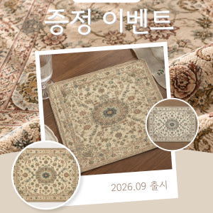 페르시안 카페트 워셔블 거실 매트 러그 대형 특대형 150x200 솔직 후기 | 실제 배치 사진 포함 - 상품 이미지 2