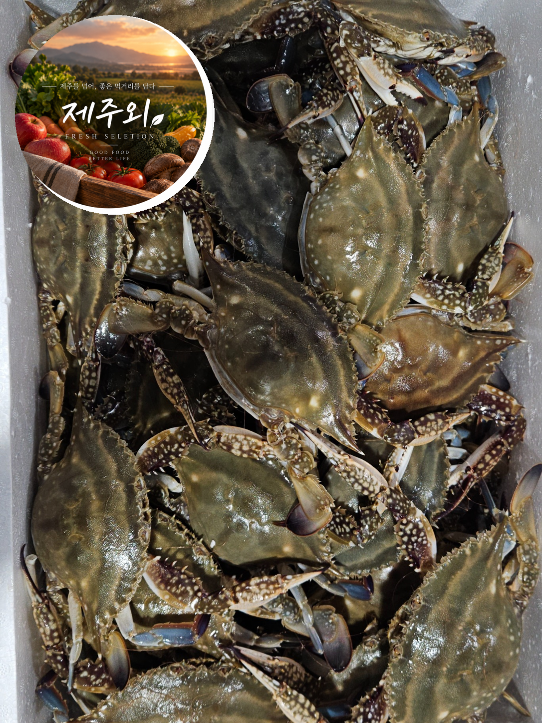 국내산 서해 활 숫꽃게 제철 생물 175g, 2kg, 1개 - 상품 이미지