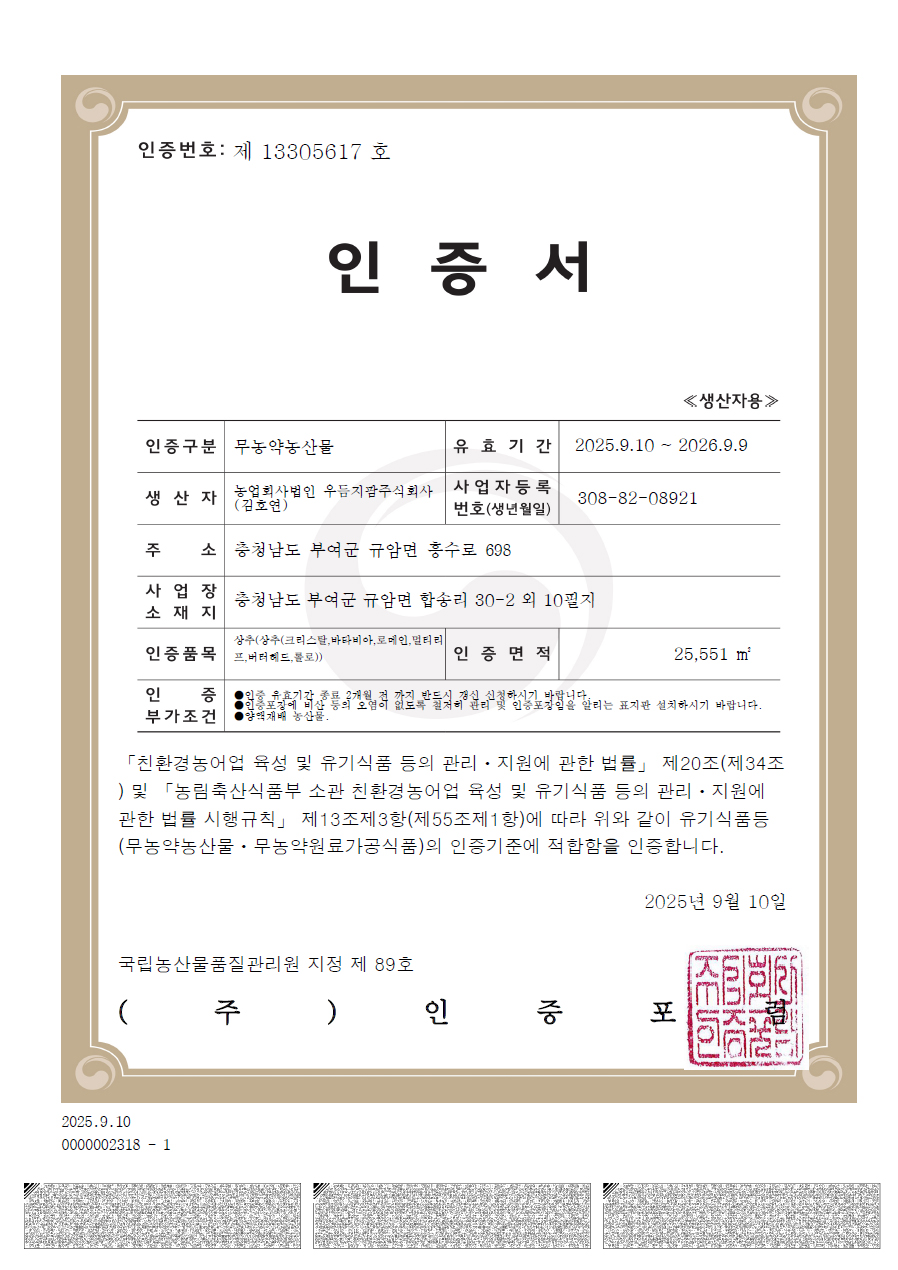 국내산 친환경GAP 채소 유러피안 샐러드 1kg 이미지 7