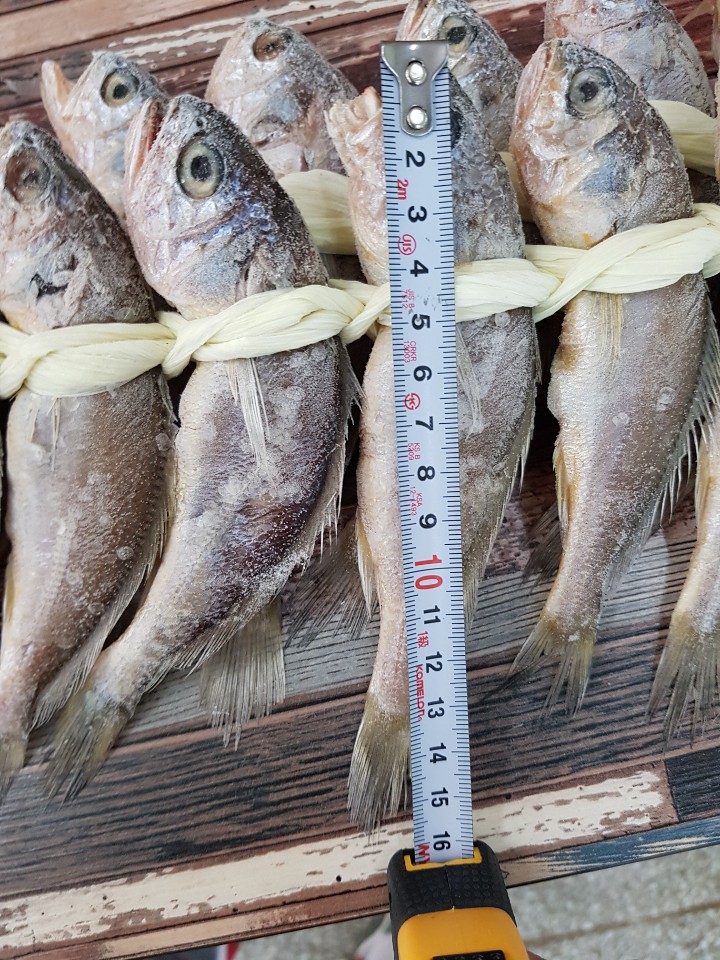 국내산 프리미엄 영광굴비 장대1~2호 20마리 이미지 8