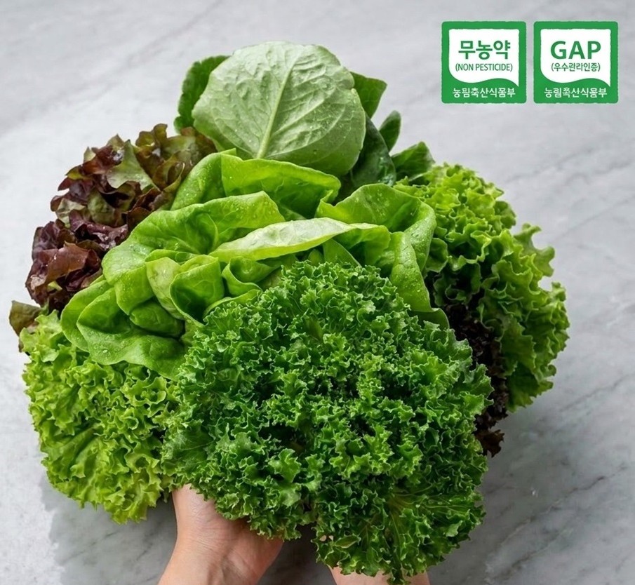 국내산 친환경GAP 채소 유러피안 샐러드 1kg - 상품 이미지