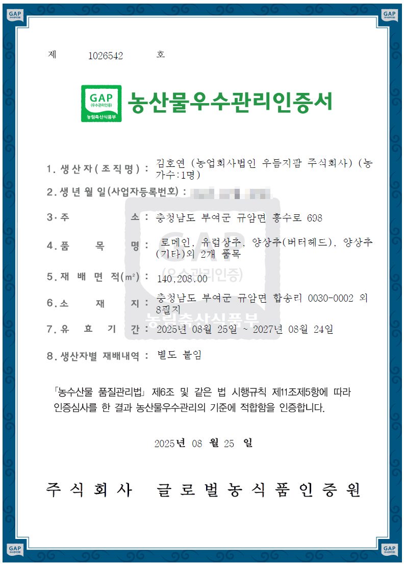 국내산 친환경GAP 채소 유러피안 샐러드 1kg 이미지 6